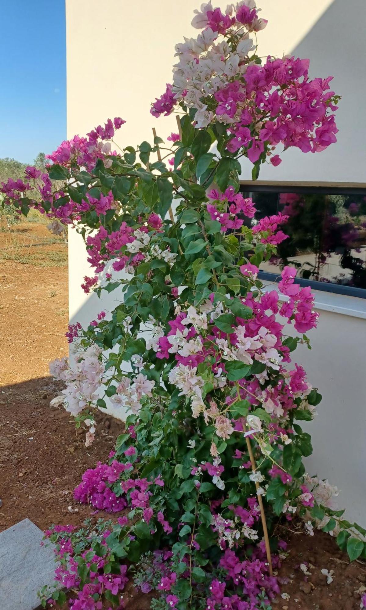 Zeituna Lodge A Porto Cesareo Торе Лапило Екстериор снимка