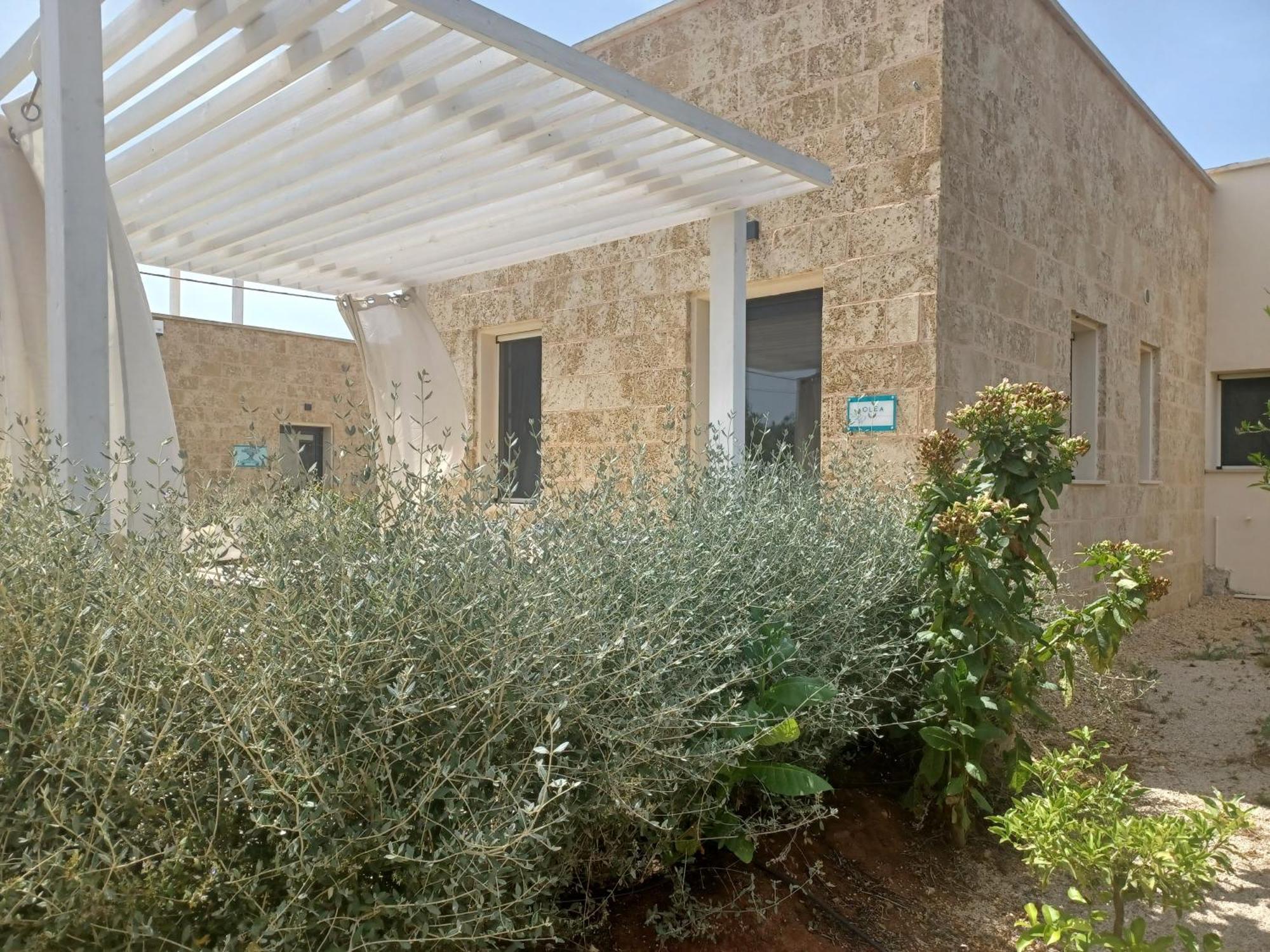 Zeituna Lodge A Porto Cesareo Торе Лапило Екстериор снимка