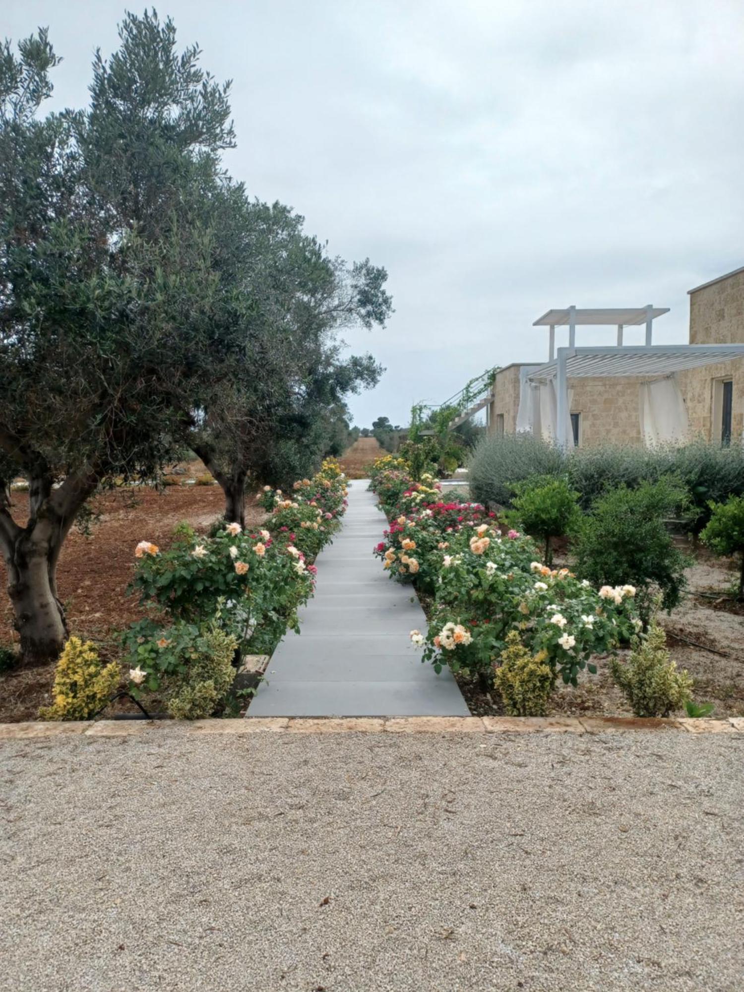 Zeituna Lodge A Porto Cesareo Торе Лапило Екстериор снимка